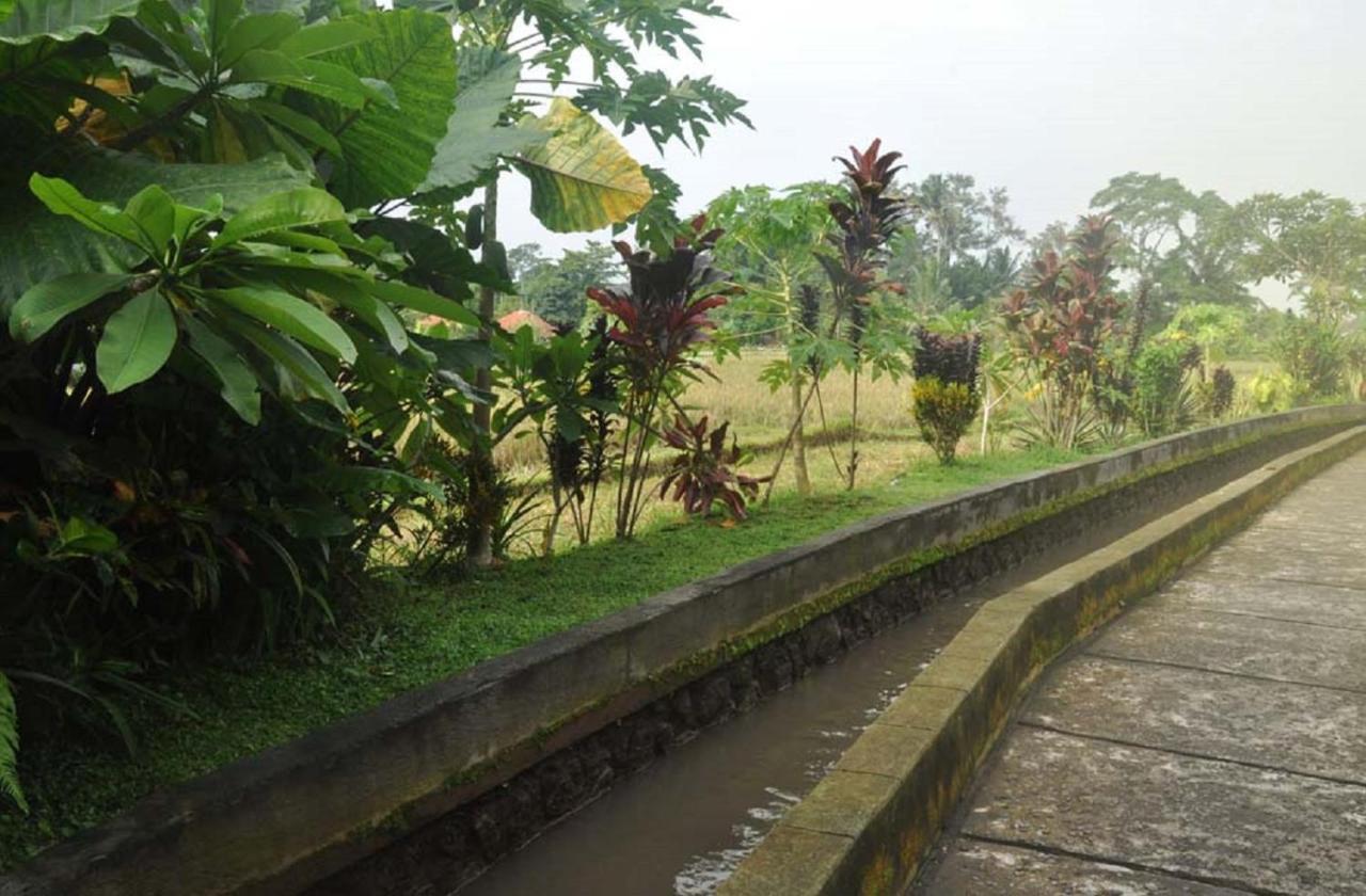 Candra Asri Bungalow Ubud Exteriör bild